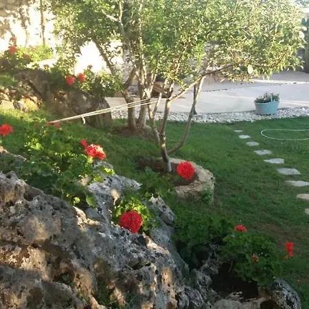 Kostandin * Κηπαρό