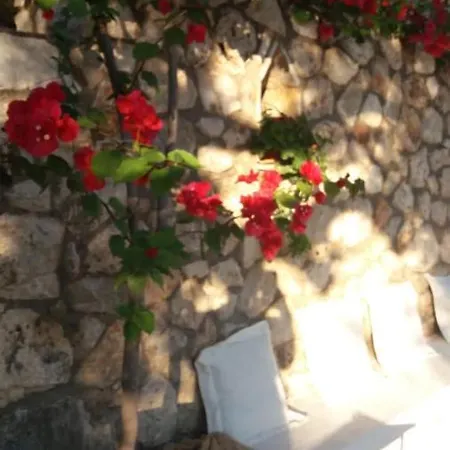 Kostandin * Κηπαρό