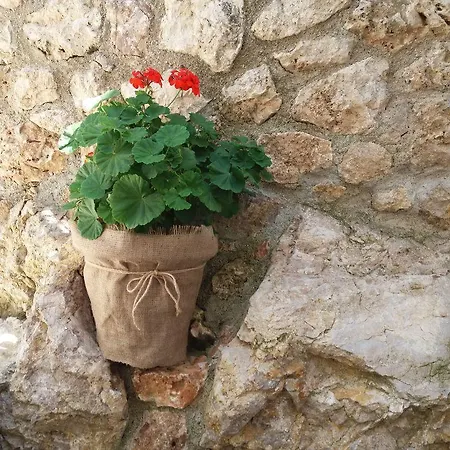 Kostandin Maison d'hôtes Qeparo