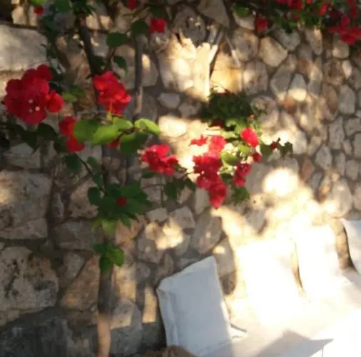 Kostandin * ケパロ