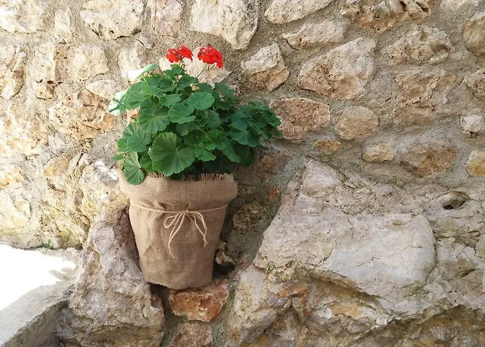 Kostandin Gasthuis Qeparo